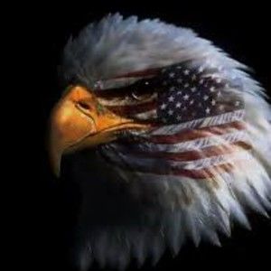 Meet your Posher, Fred